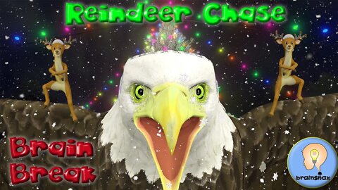 Reindeer Chase | Brain Break | Christmas Game