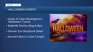 Fun things to do for Halloween