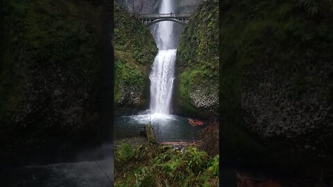 8K 10K Waterfall #waterfalls #viewpoint #cuteanimals #nature #naturelovers#shorts #youtubeshorts