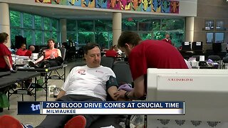 American Red Cross needs donations during summer