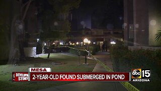 2-year-old nearly drowns in pond in Mesa