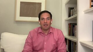 Sen. Marco Rubio discusses PPP, rapid testing for Florida