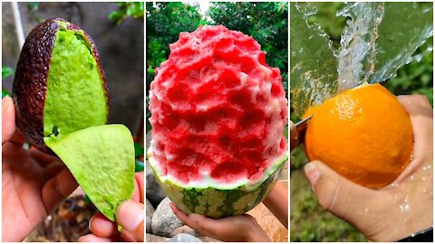 People's Life Eating Fruit In Beautiful Fruit Garden