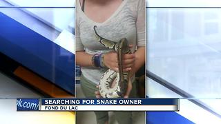Snake found by Fond du Lac Humane Society