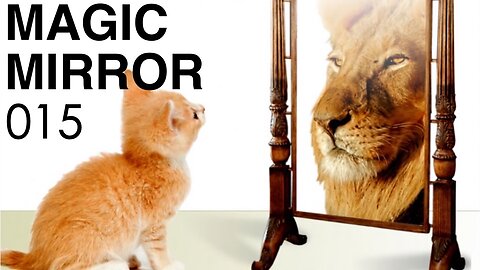 Magic Mirror 015 - Sickening Lies In Plain Sight