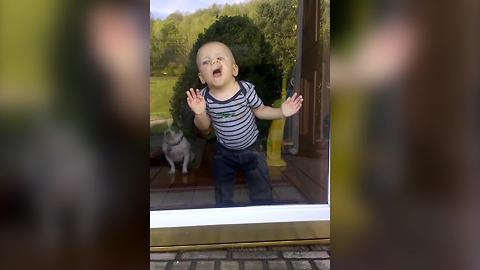 Hilarious Baby Boy Makes Funny Faces