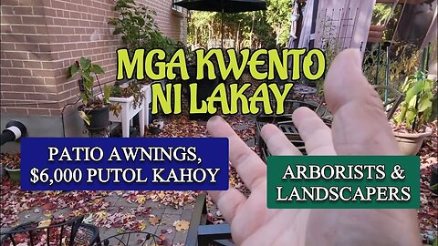 Patio Awning | Bagyo vs 40 Foot Maple Tree at Anim na Libong Dolyar na Bayad ?