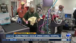 Dumb Friends League opening its 1st animal hospital