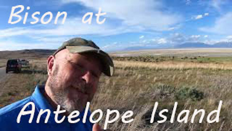 Spring Visit to Antelope Island State Park