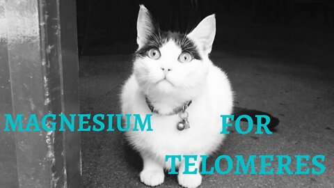 Magnesium for telomeres