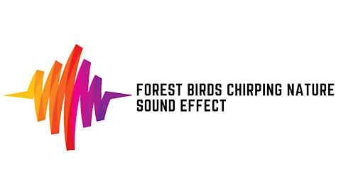 Forest Birds Chirping Nature Sounds