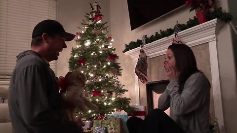 Man allergic to dogs surprises wife with puppy for Christmas