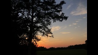 Southeast Texas Backyard Wildlife 112