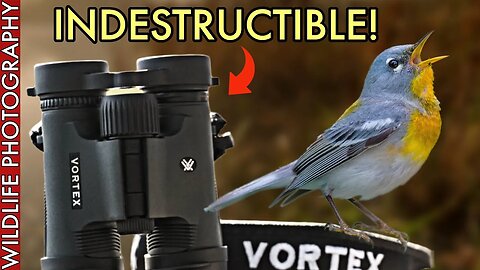 These Binoculars for Wildlife Photography are INDESTRUCTIBLE!