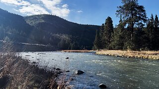 TWO BEAVER ENCOUNTERS on the Shoreline of Lower Crooked River! | BLM | Prineville Central Oregon 4K