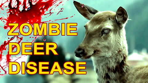 Zombie Deer Disease is spreading across the US