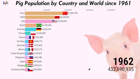 🐽 Pig Population by Country and World since 1961