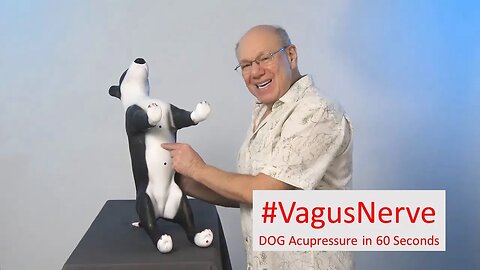 Pawsitive Energy Flow: Acupressure Tip to Boost Your Dog's Vagus Nerve