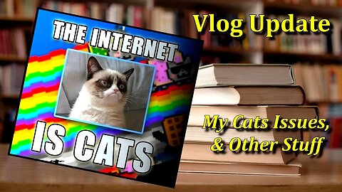 My Cats Issues & Other Stuff