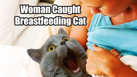 Woman Allegedly Breastfeeds🍼 Cat🙀 on Delta Airlines Flight✈✈