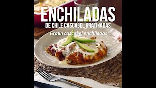 Chile Cascabel Enchiladas Gratin