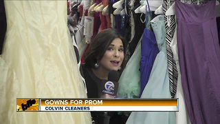 Colvin Cleaners – Gowns for Prom