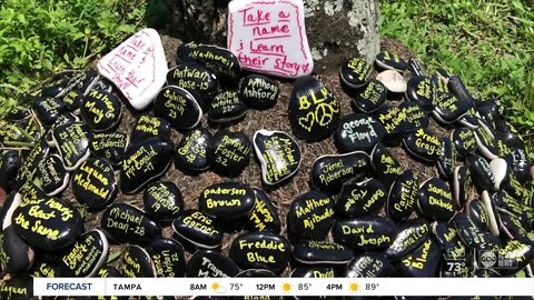 Black Lives Matter painted stones memorial in St. Pete’s Crescent Lake Park becomes teaching tool