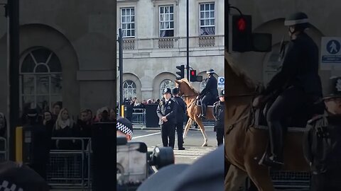 Royal Horse's and police horse kings Charles ceremony #horseguardsparade