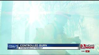 Controlled burn at Fontenelle Forest