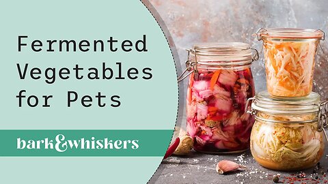 Fermented Vegetables for Pets