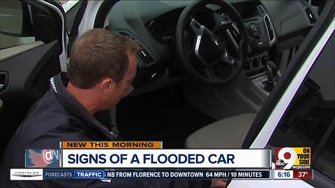 Could you spot a flood-damaged car from Houston?