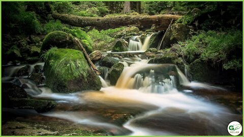 Relaxing Forest Waterfalls Sounds & Guitar Music 🌳🎸💧 Stress Relief, Relaxation, Meditation, Study