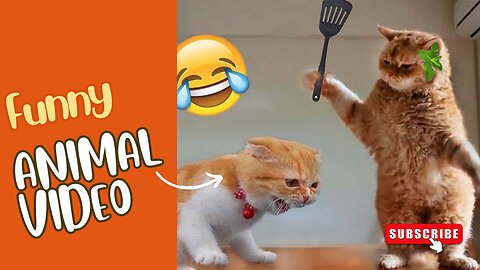 Funniest Cat and Dog Video's 😂 2024 - Best funny Animals Video.