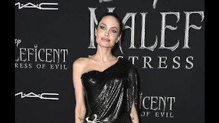 Angelina Jolie named 'godmother' of new beekeeping program