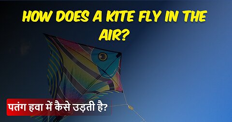 The Art of Kite Flying: How does a Kite fly in the Air