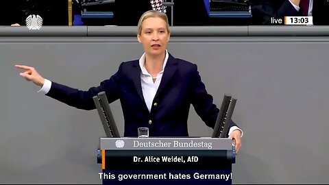 Alice Weidel (AfD): "Diese Regierung hasst Deutschland!" - January 31, 2024 (English subtitles)