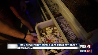 Serial rodent thief caught on camera in Cape Coral