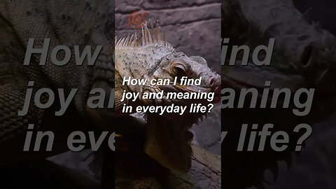 How can I find joy and meaning in everyday life? #shorts #mindselevate #expandyourmind