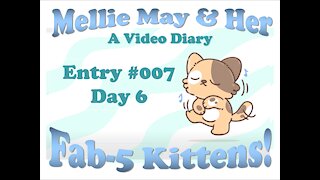 Video Diary Entry 007 - Day 6 Charlie Junior?