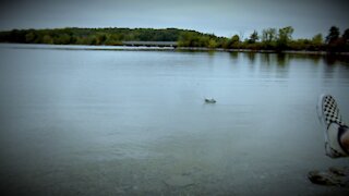 Grandson skips stones at Codorus Lake.