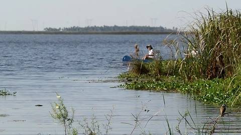 Amazing drone footage of Iberá Wetlands in Argentina