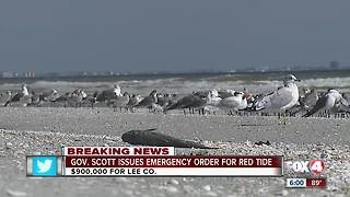 Governor Scott declares state of emergency due to red tide in Florida