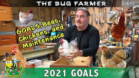 2021 Beekeeping Goals and More. Off season wood-ware maintenance and Bug Farmer maintenance.