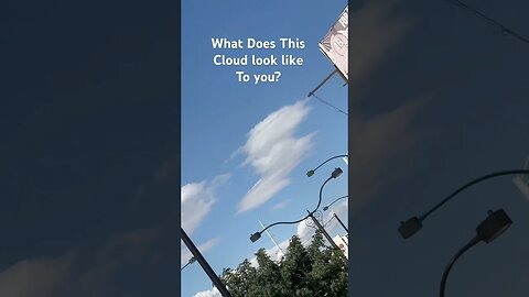 What does this Cloud look like to you? I see a Pigeon or Eagle