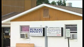Volunteer dies after incident at Humane Society of St. Lucie County