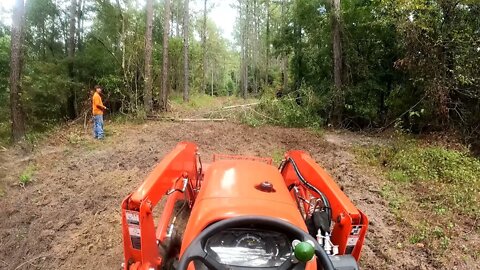 Food Plot Failure! Jumpercable can't cut a tree right!