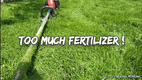 Over-Ferrilized Lawn (Echo PAS 2620) ♣︎ Lawncare Life