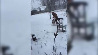 Dog Leaves Lady Stranded In The Cold