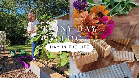 Day in the Life Rainy Day Vlog