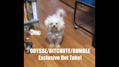 Rumble/Bitchute/Odysee Exclusive Hot Take: Jan 6th 2022 News Blast!